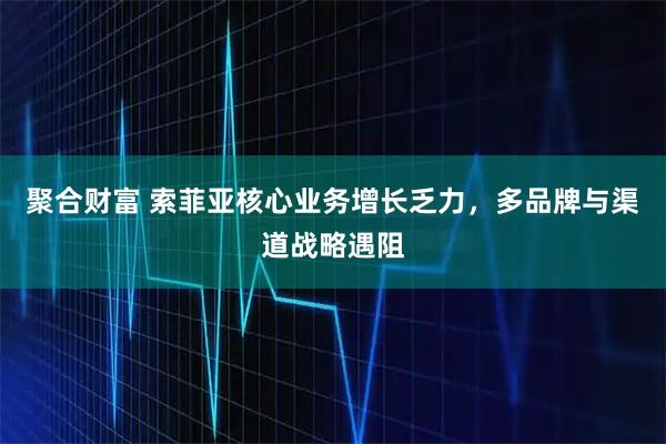 聚合财富 索菲亚核心业务增长乏力，多品牌与渠道战略遇阻