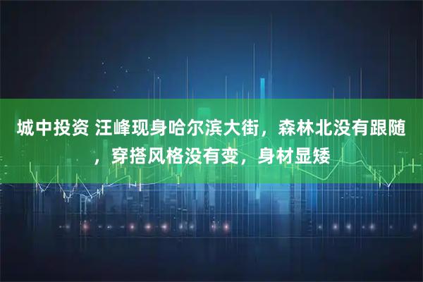 城中投资 汪峰现身哈尔滨大街，森林北没有跟随，穿搭风格没有变，身材显矮